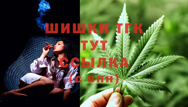 спиды Бугульма